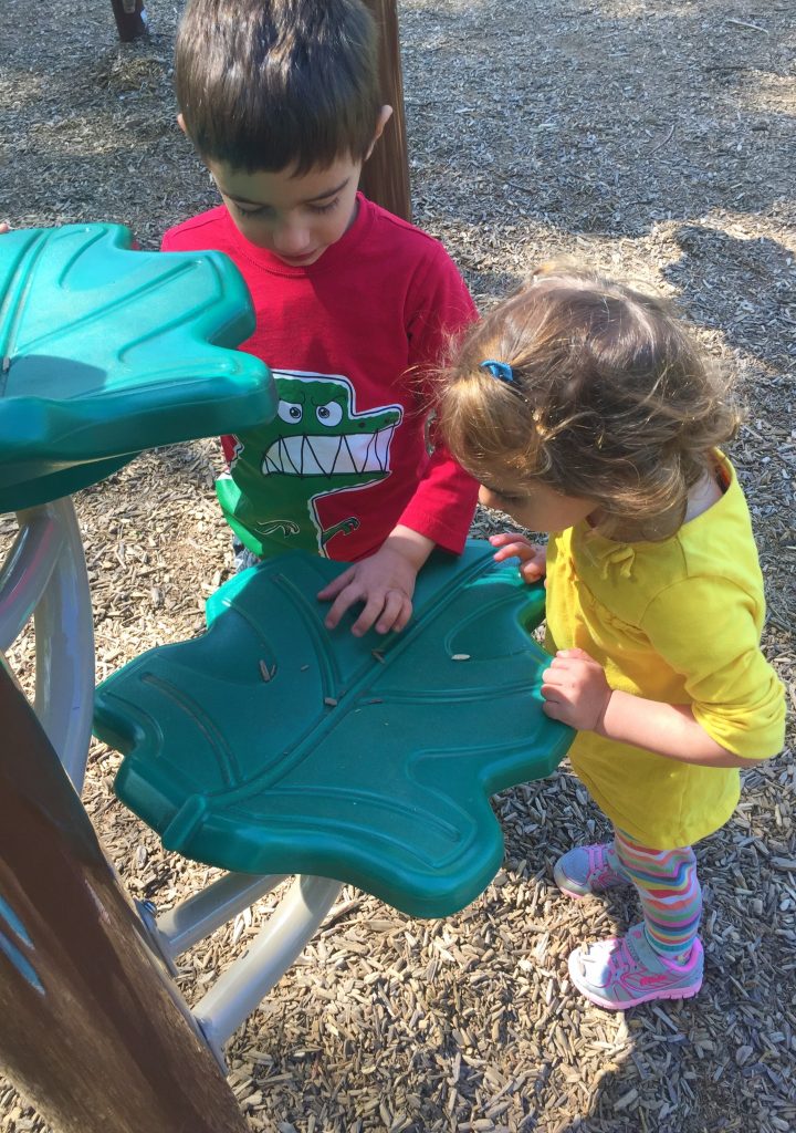 Holbrook playground, Huntersville NC, Holbrook Park