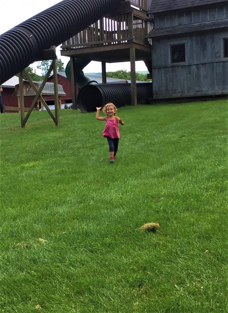 Ioka Valley Farm Playground
