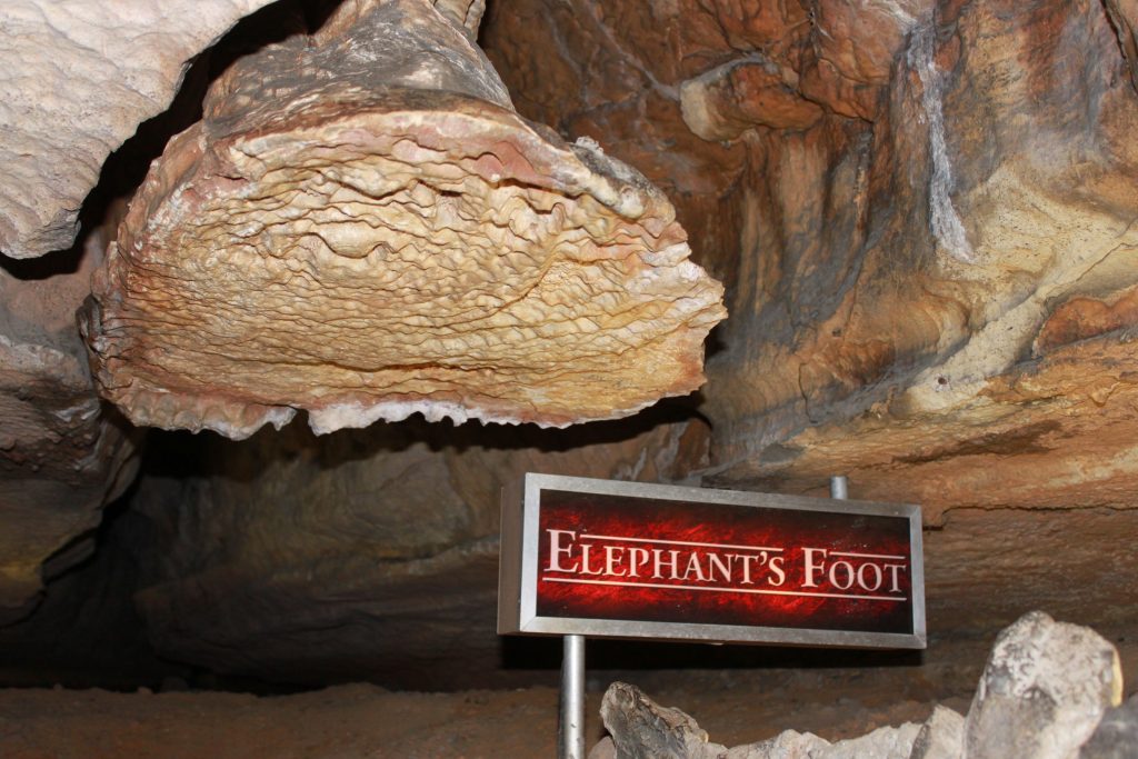 Elephant's Foot, Ruby Falls