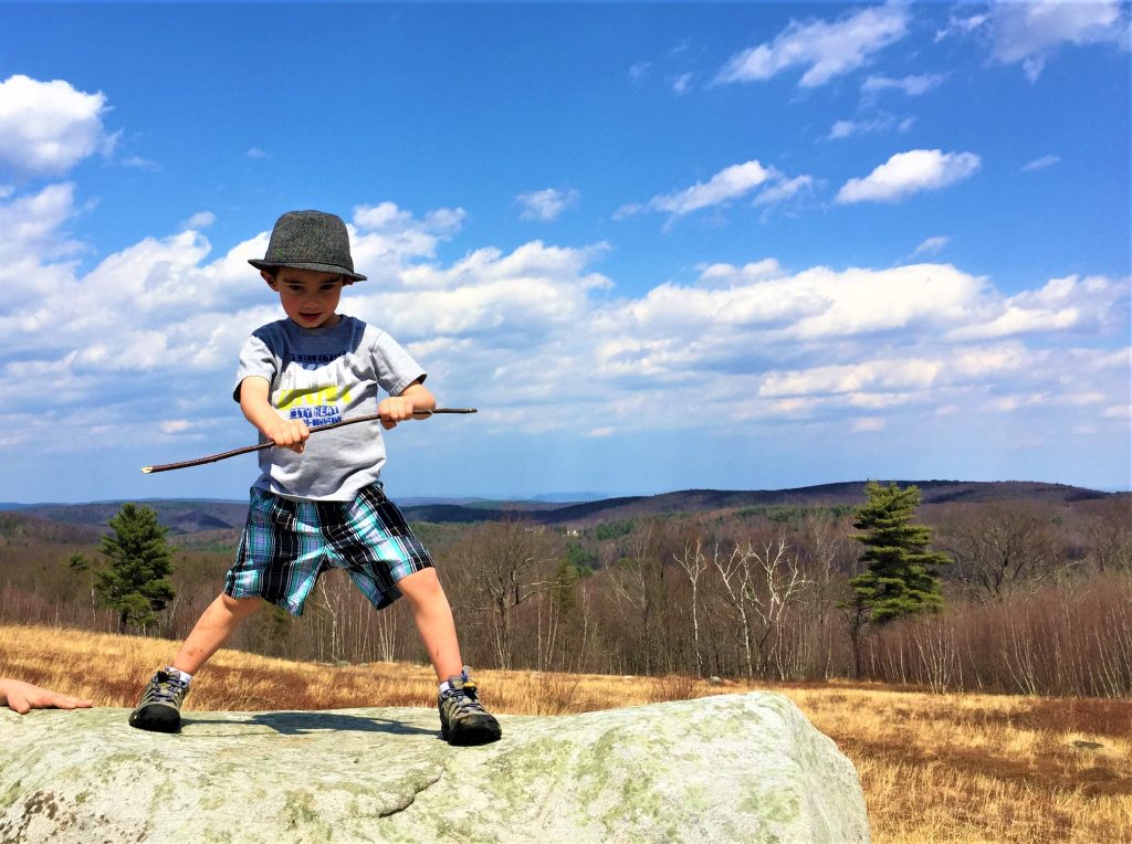 Blueberry HIll, Granville MA, Phelon Memorial Forest, 