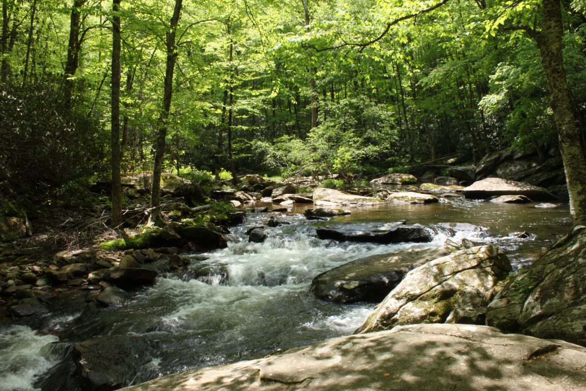 Waterfalls Galore at This Popular Trail in The Blue Ridge Mountains ...