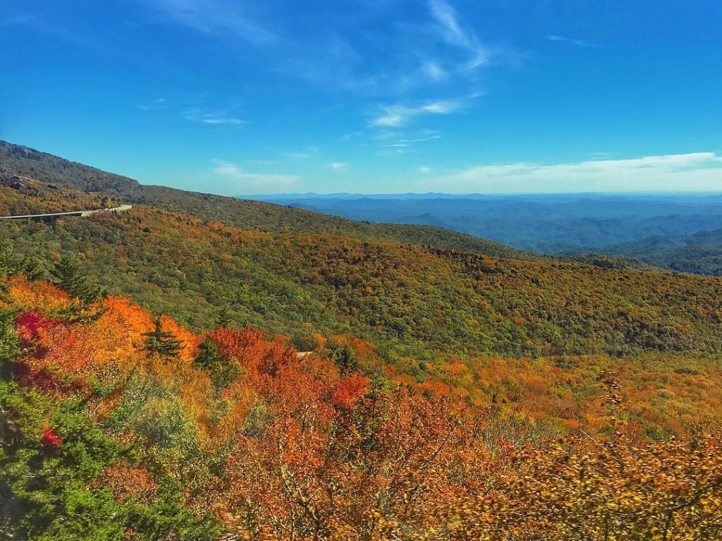 Linn Cove Viaduct