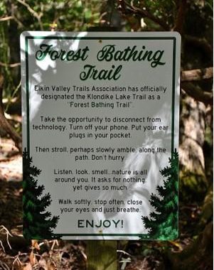 Forest bathing, Elkin North Carolina