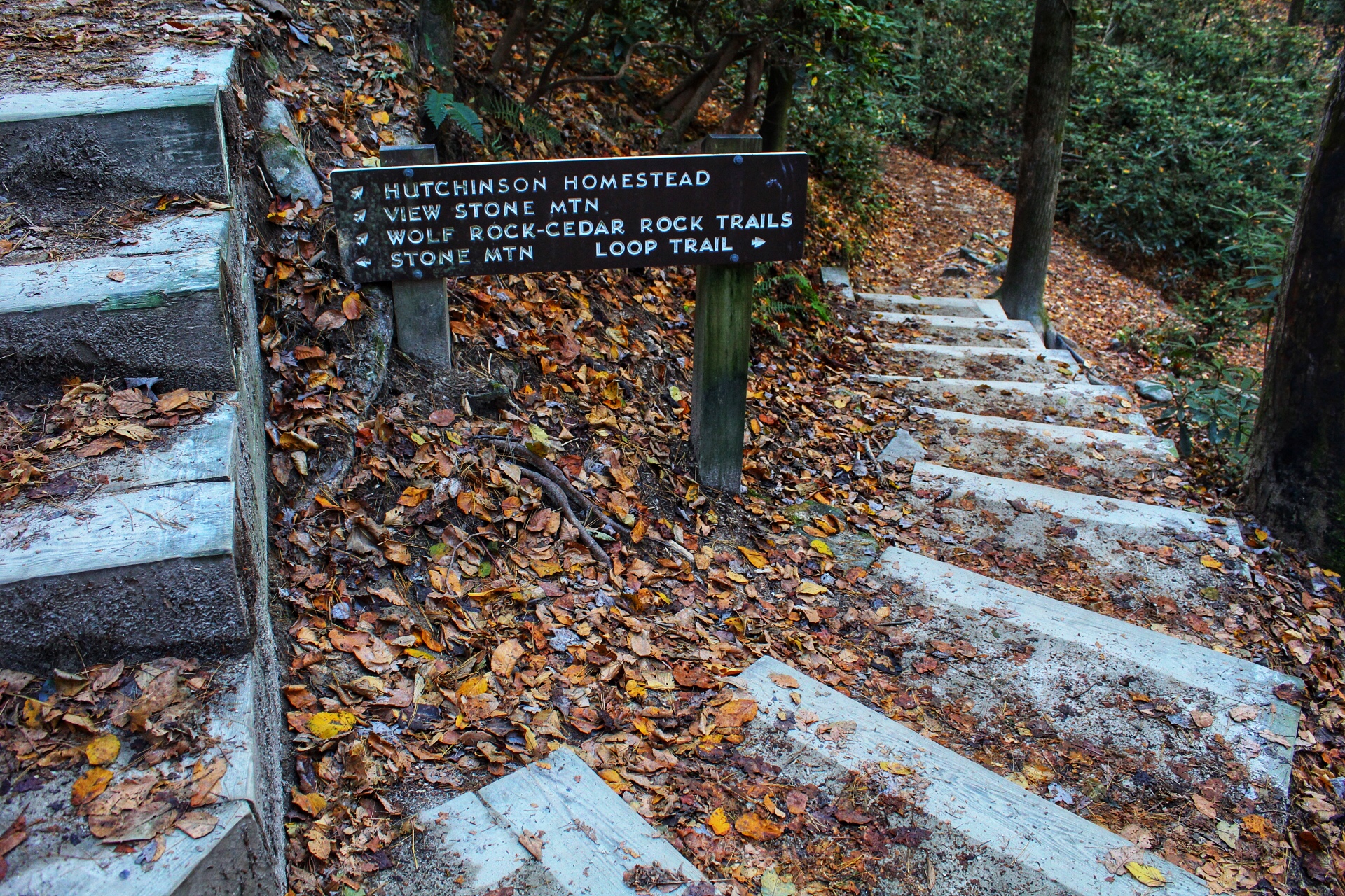 Hidden Gem: Wolf Rock Trail at Stone Mountain State Park in North