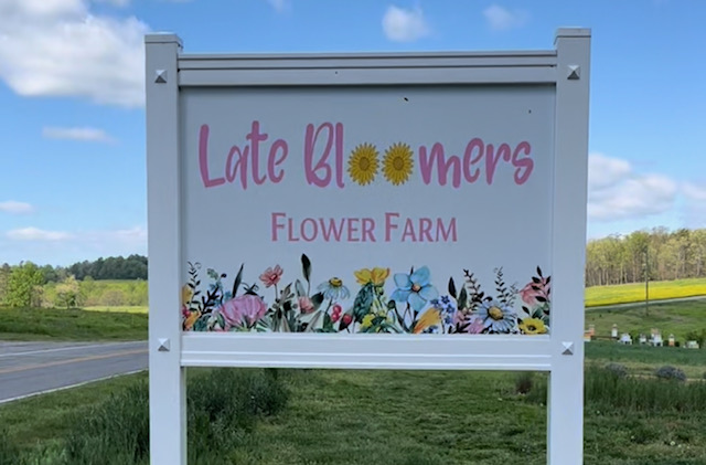 Late Bloomers Flower Farm, Elkin NC