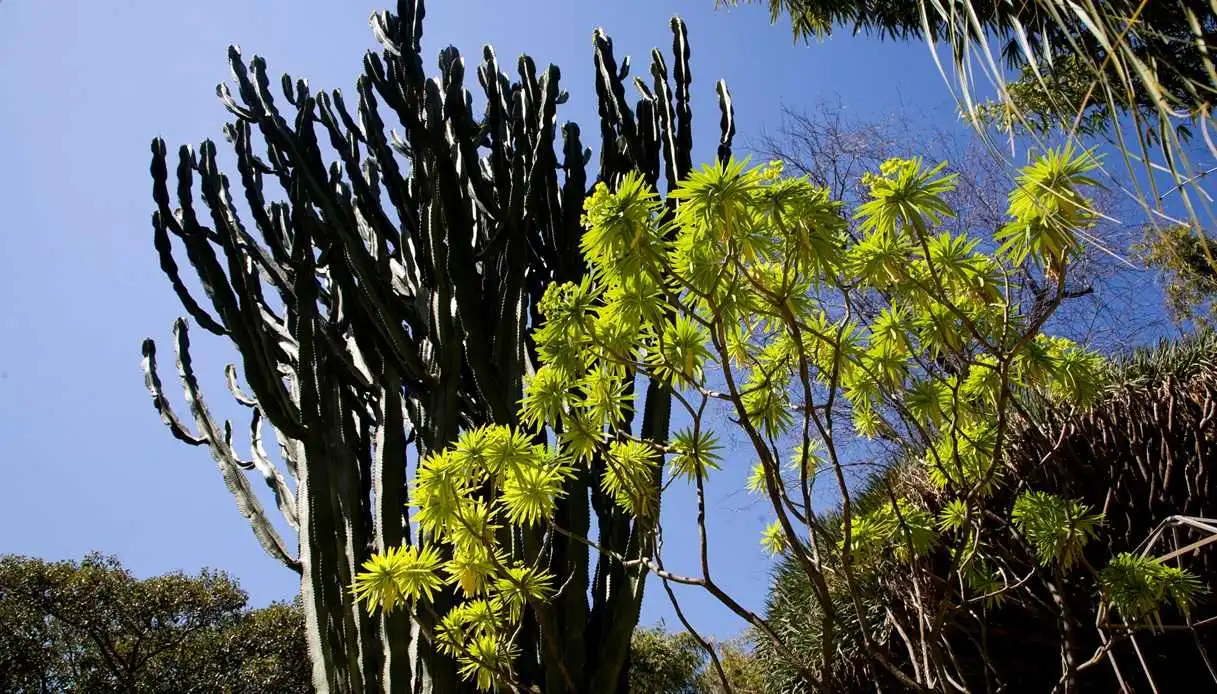 Mediterranean Gardens in Spring: 5 Must-Visit Destinations in Italy