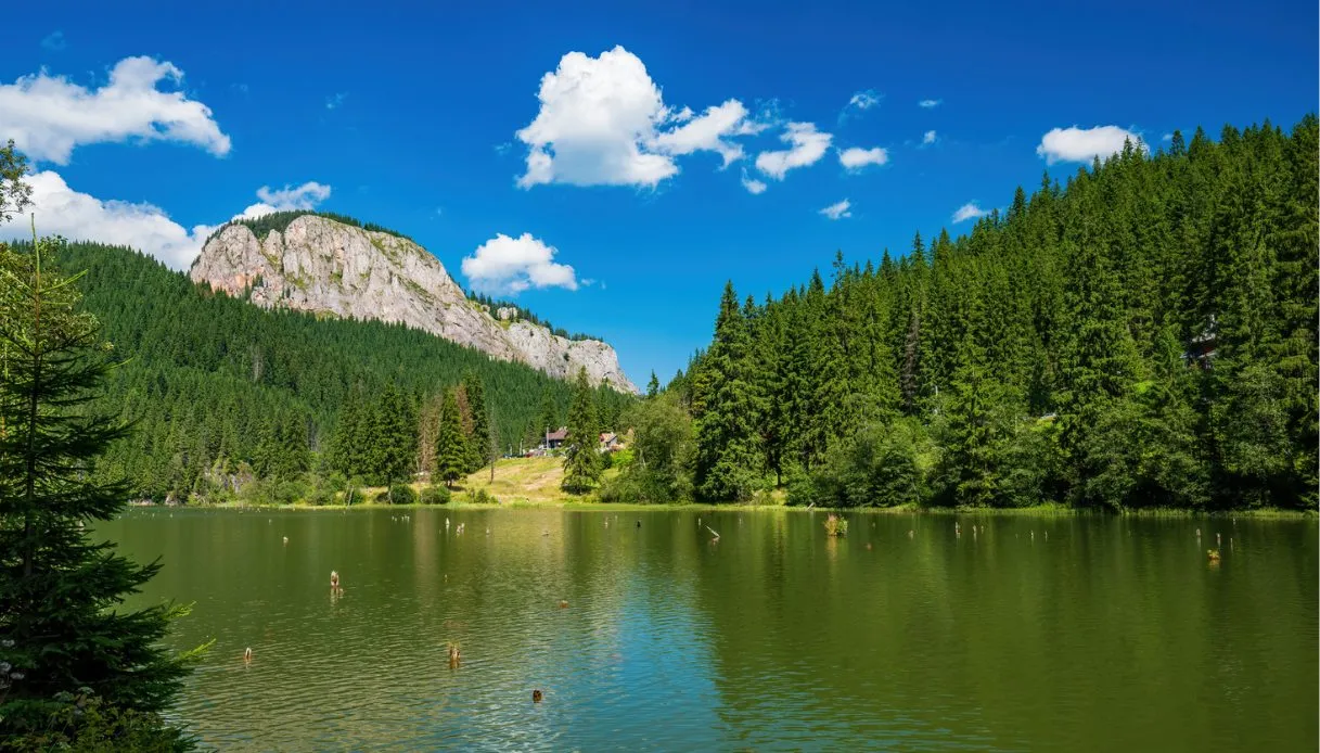 The Red Lake: A Mysterious Lake Hiding a Submerged Forest