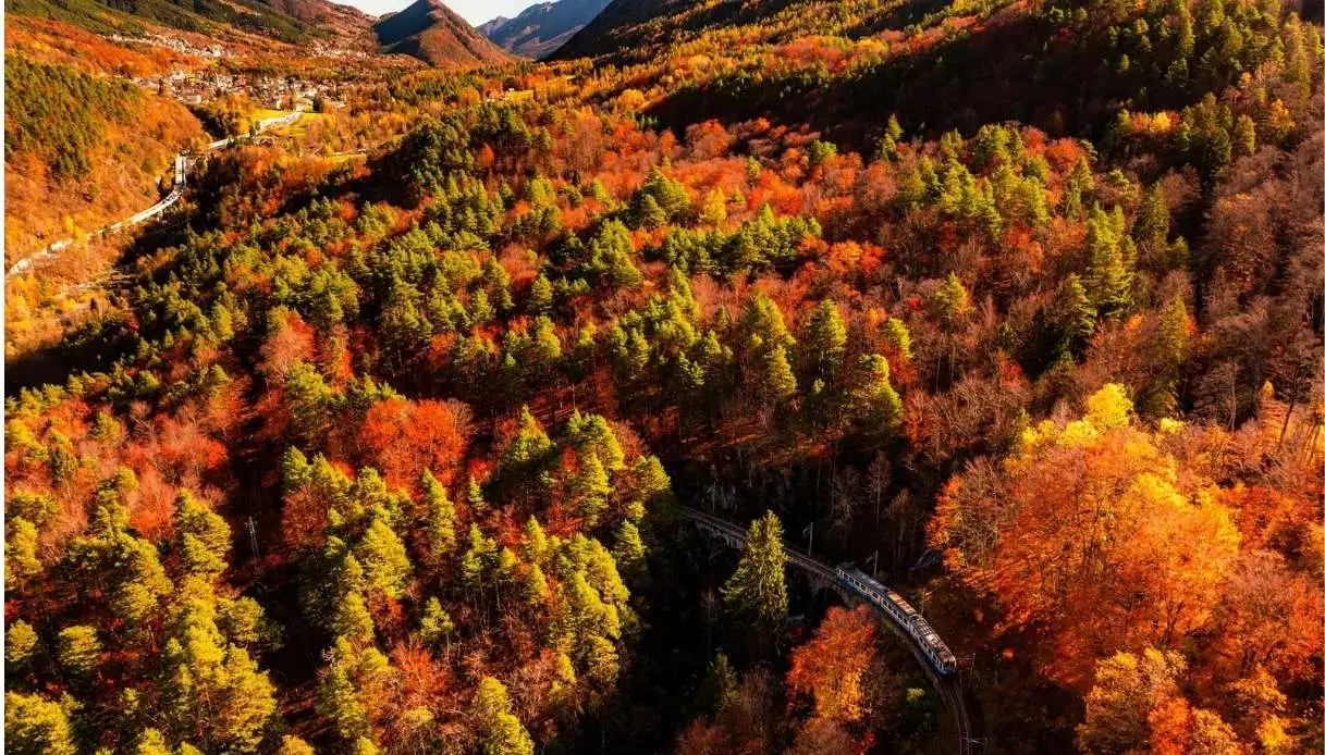 Foliage Train Returns Between Domodossola and Locarno – Info & Prices