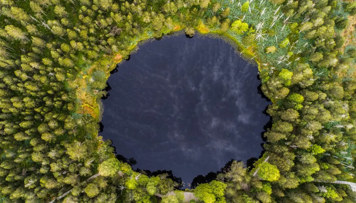Visit Blindensee: The Mysterious Black-Water Lake