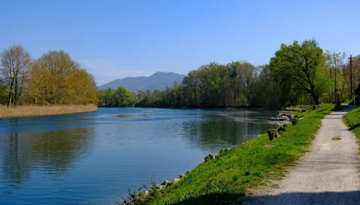 Walks Along the Adda with Leonardo: The Diffuse Museum Emerges
