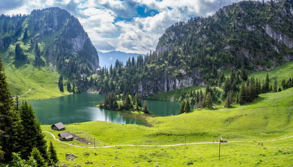 New Stop on the Alpine Green Train Overlooks Lake Thun