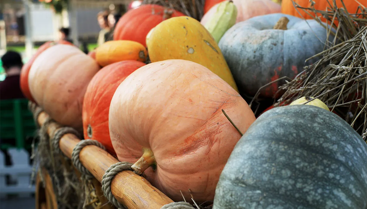 October 2026 Fairs and Festivals in Sardinia: What to Do