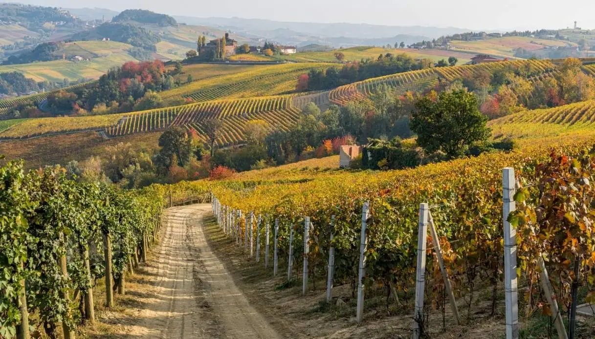 Autumn Foliage 2026: Best Things to Do to Experience the Season’s Magic