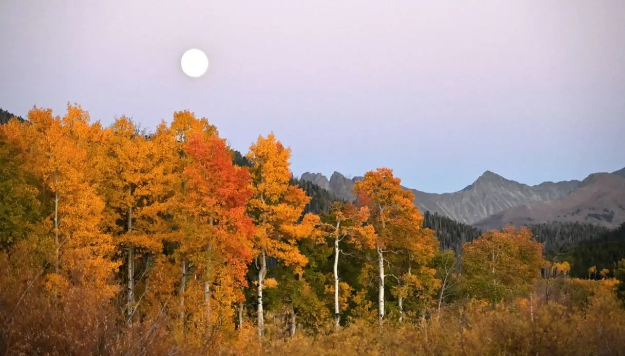Harvest Moon 2026: When and Where to See the Harvest Moon in Italy