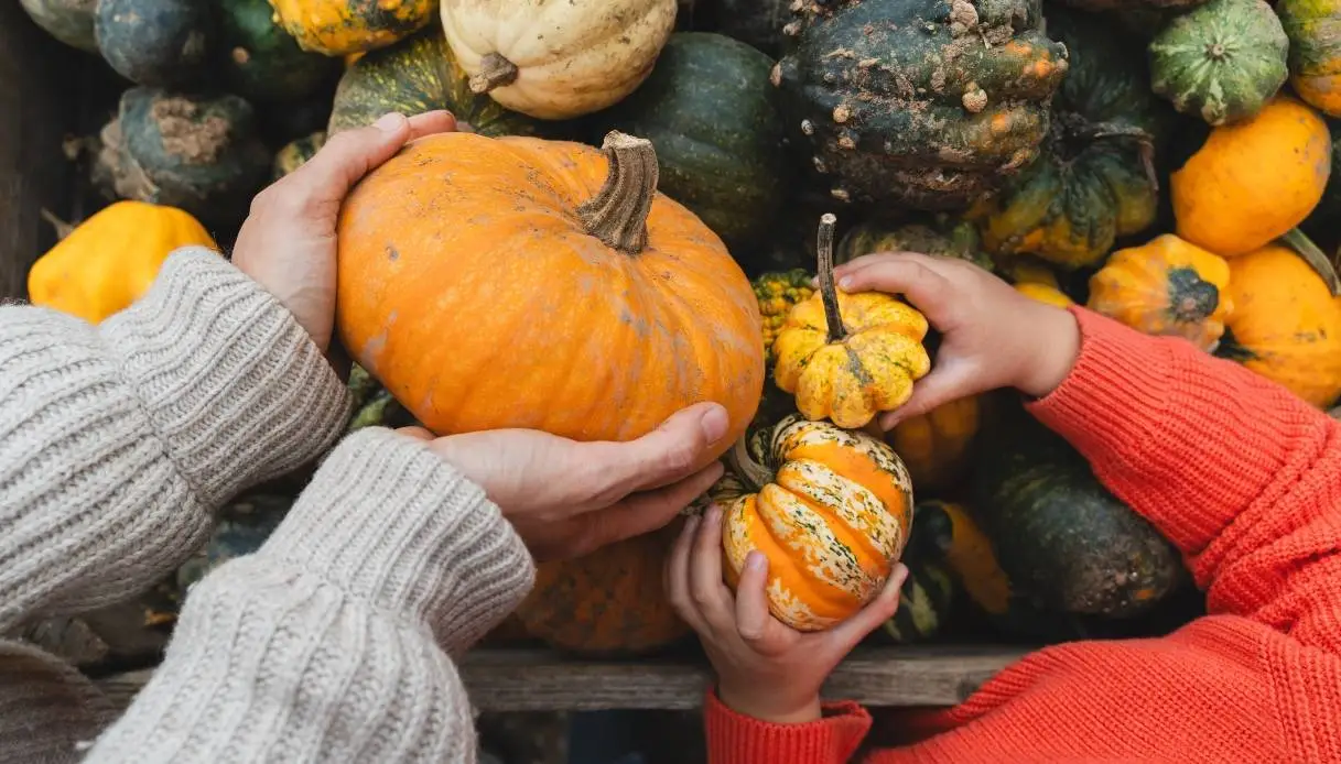 Pumpkin Festivals 2026: Where to Visit in Italy for Taste and Tradition