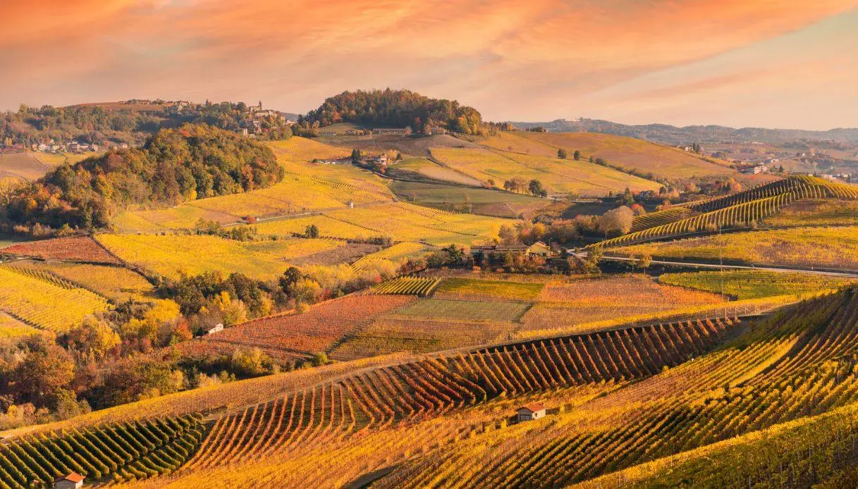 Top European Wine Regions: Four in Italy