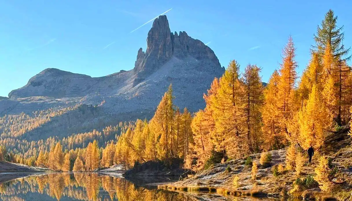 Autumn Foliage in the Alps: 5 Magical Trails Through Larches and Beeches