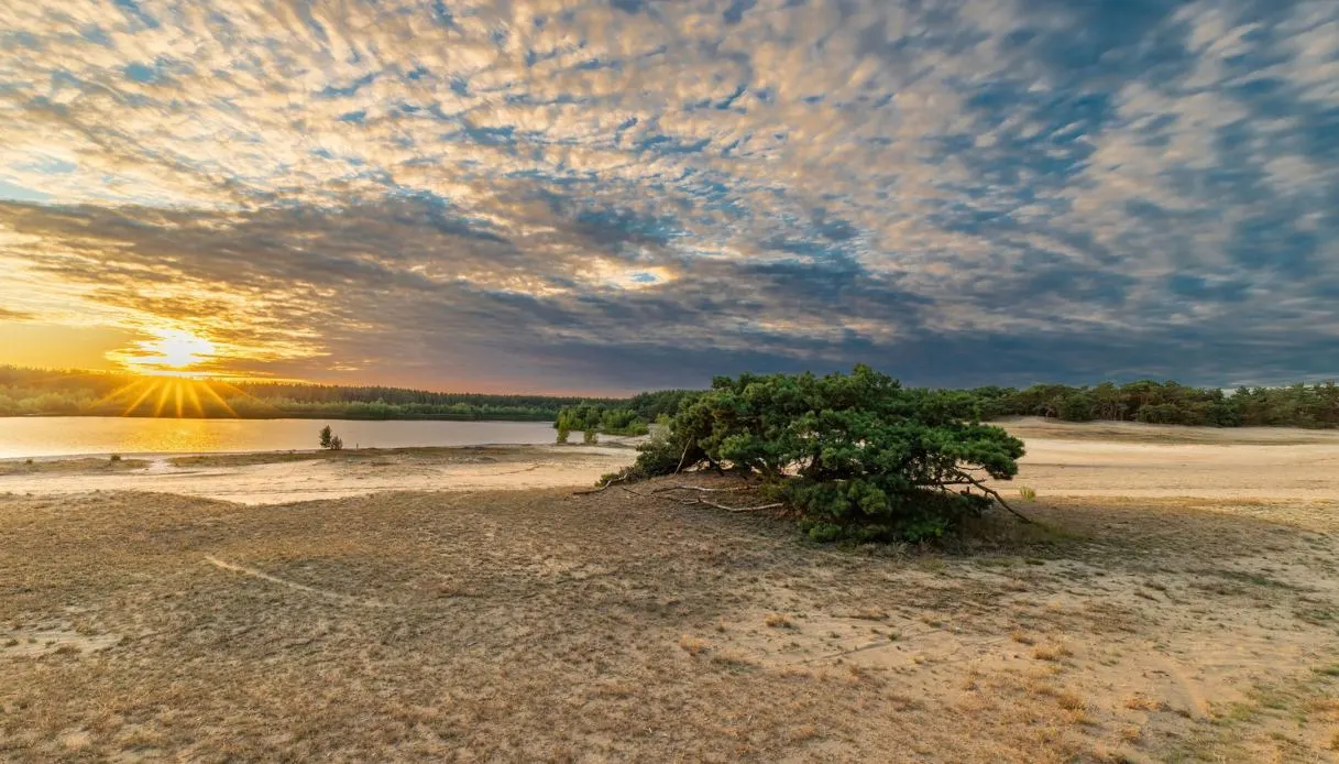 Lommel’s Sahara: Europe’s Desert Born by Mistake