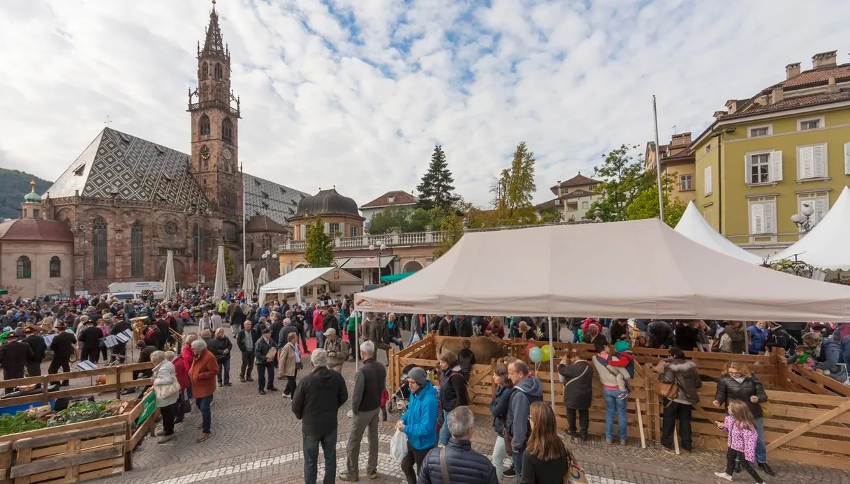 Top 10 Fairs and Weekend Festivals on October 16–18