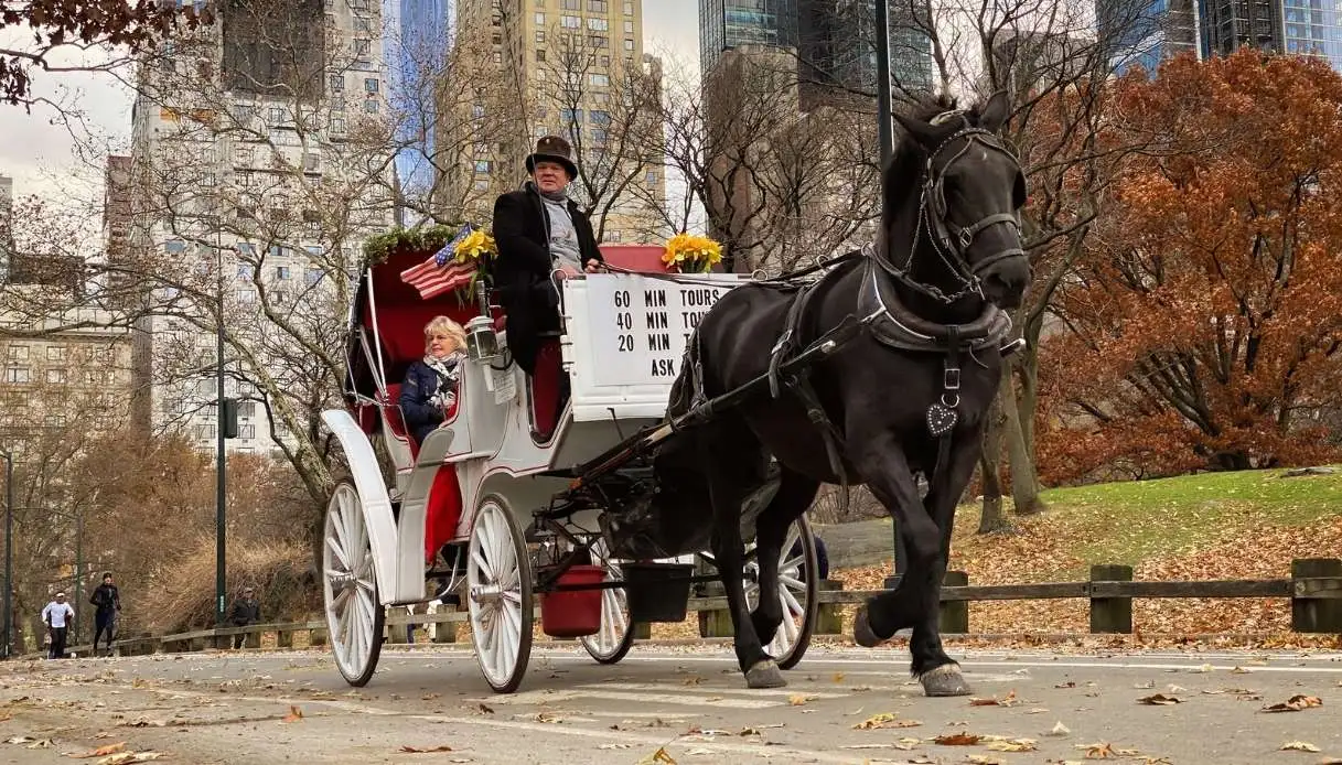 New York: Horse-Drawn Carriages Could Disappear from Central Park